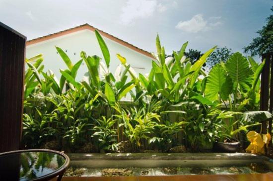 Mydream Guest House อิโปห์ ภายนอก รูปภาพ